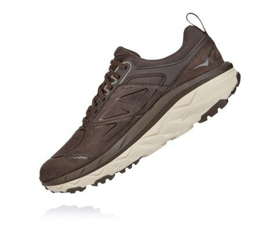 Trail Shoes Mens - Hoka One One Challenger Low GORE-TEX - Brown - CESYAZR-94